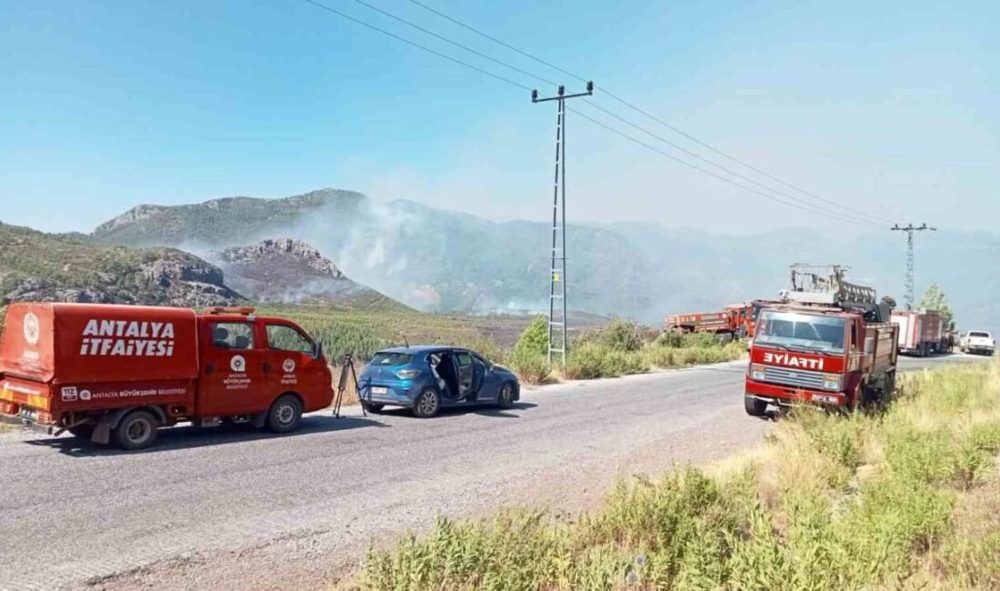 Antalya Büyükşehir Belediyesi İtfaiye Dairesi Başkanlığı ekipleri, son günlerde art