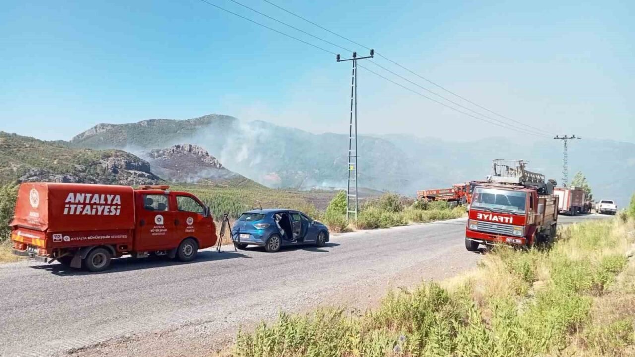 Antalya Büyükşehir Belediyesi İtfaiye Dairesi Başkanlığı ekipleri, son günlerde art