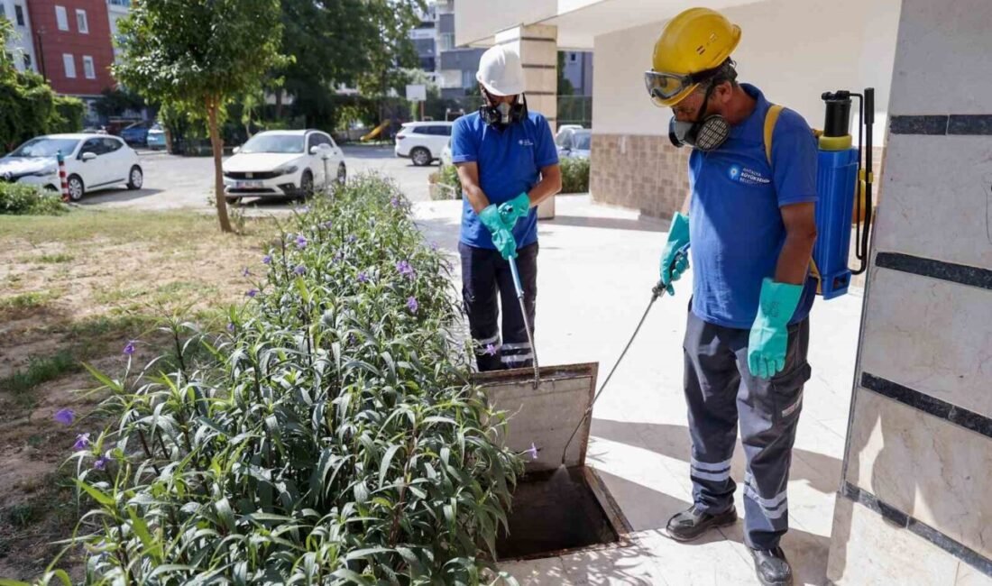 Antalya Büyükşehir Belediyesi, halk sağlığını korumaya yönelik vektörle mücadele çalışmalarını