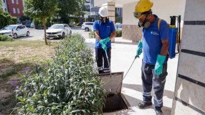 Antalya Büyükşehir Belediyesi, halk sağlığını korumaya yönelik vektörle mücadele çalışmalarını