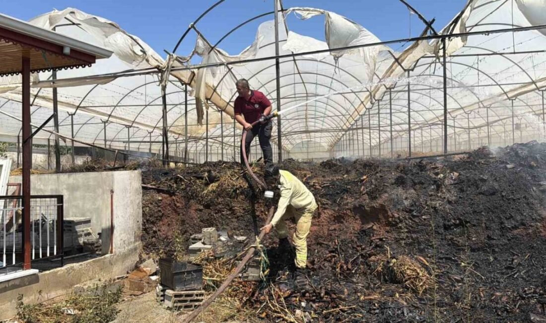 Antalya’nın Gazipaşa ilçesinde çıkan sera yangınında yaklaşık 7 buçuk dekar