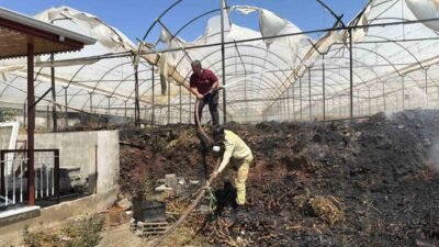 Antalya’nın Gazipaşa ilçesinde çıkan sera yangınında yaklaşık 7 buçuk dekar