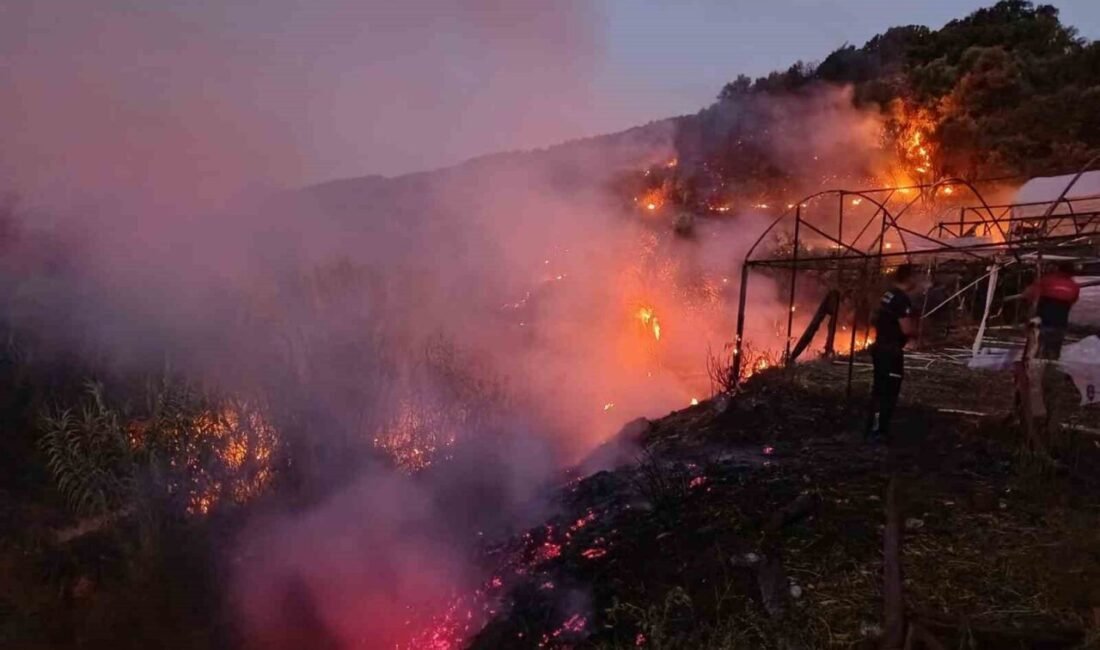 Antalya’nın Kumluca ilçesinde sabaha karşı iki ayrı noktada çıkan yangınlar,