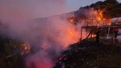 Antalya’nın Kumluca ilçesinde sabaha karşı iki ayrı noktada çıkan yangınlar,