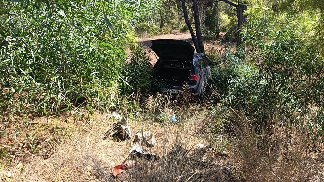 Önündeki otomobile çarptı, ardından ormana daldı
