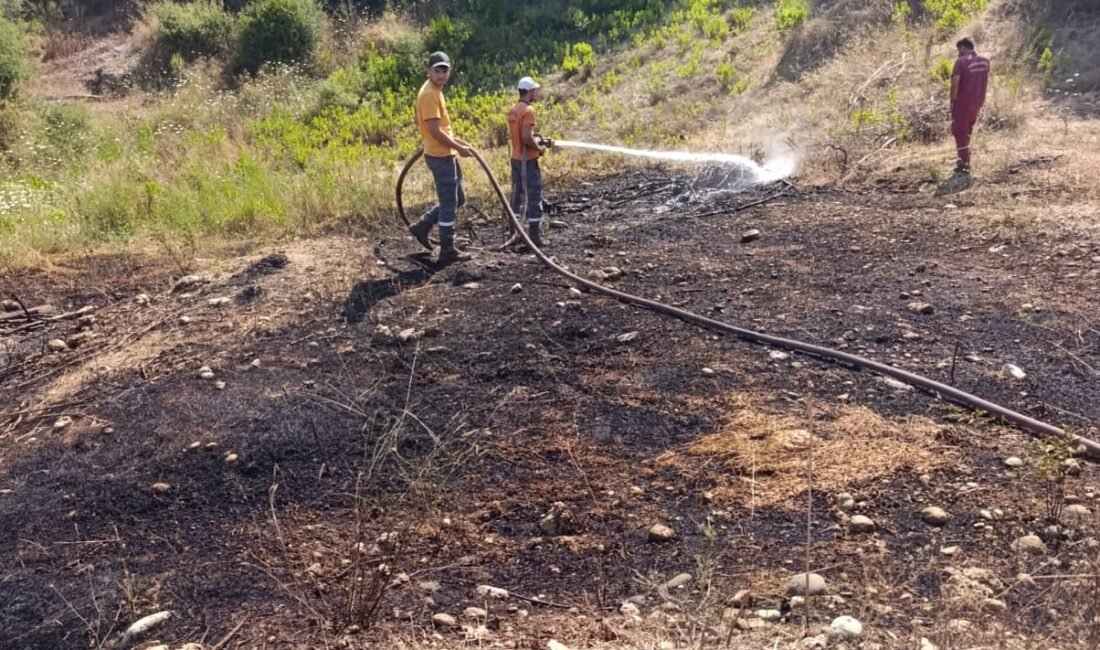 Serik orman yangını, Antalya’nın Serik ilçesine bağlı Kırbaş Mahallesi mevkisinde