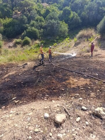 Serik orman yangını, Antalya’nın Serik ilçesine bağlı Kırbaş Mahallesi mevkisinde