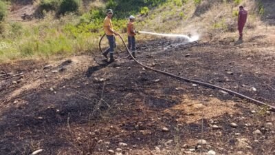 Serik orman yangını, Antalya’nın Serik ilçesine bağlı Kırbaş Mahallesi mevkisinde