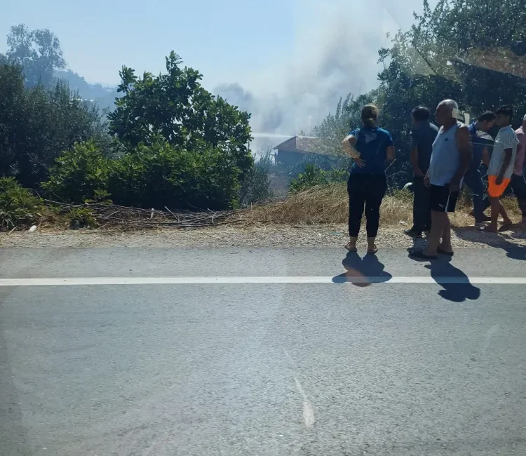 Serik sazlık yangını: Serik Abdurrahmanlar Mahallesi'nde çıkan sazlık yangını, Antalya