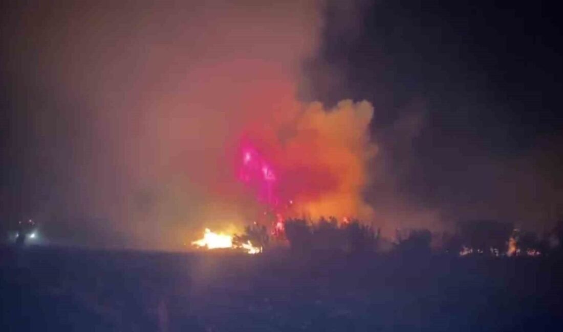 Antalya’nın Serik ilçesinde ormanlık alanda yangın çıktı. Ev ve seralara