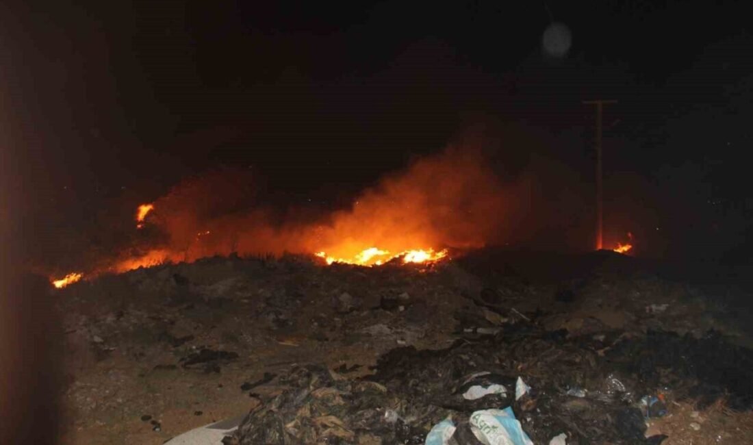 Antalya’nın Serik ilçesinde otluk alanda çıkan ve rüzgarın etkisiyle sera