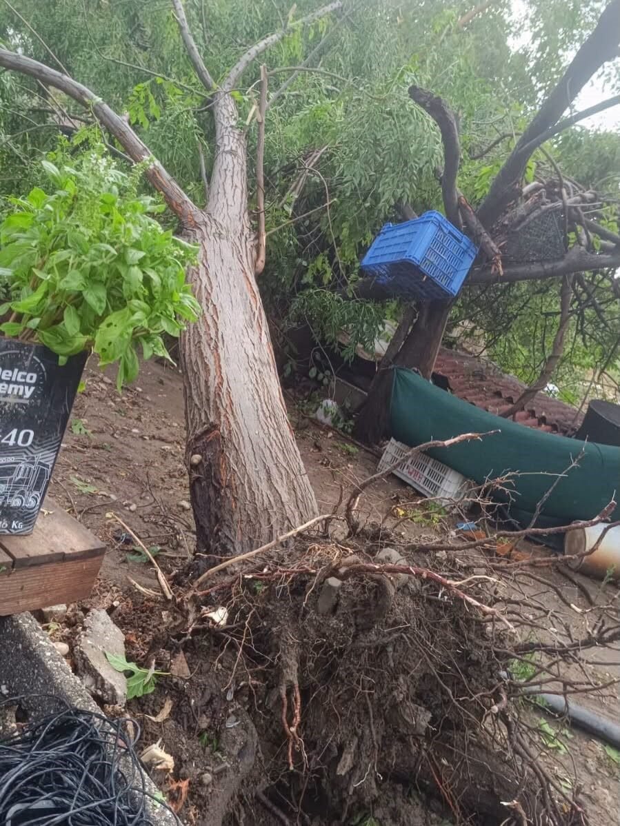 Serik’te sağanak ve hortum evin çatısına zarar verdi; iki ağacı