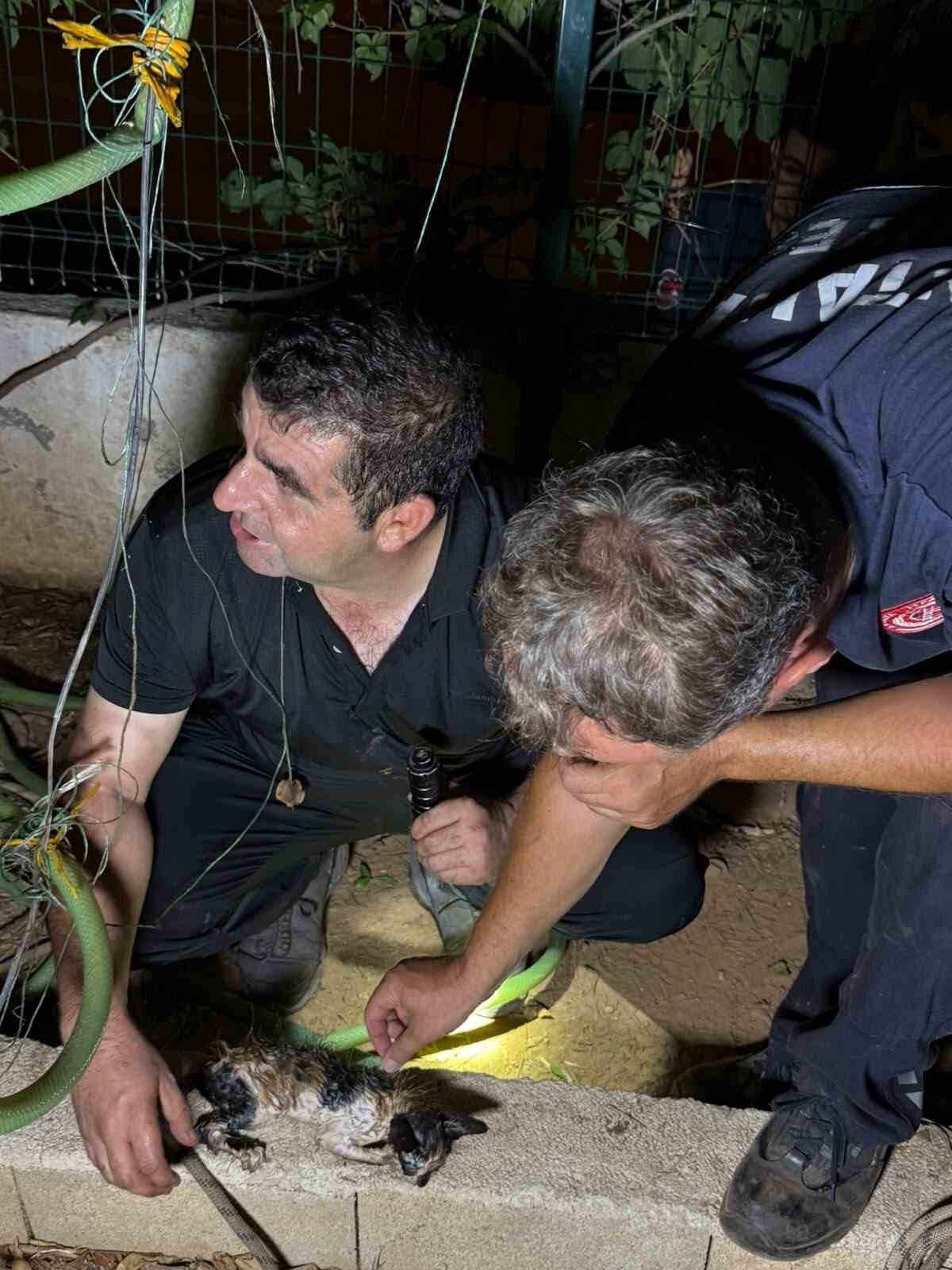 Antalya’da ev sahibinin günlerdir bahçesine gelen kedi sesini fark etmesi
