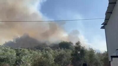 Antalya’nın Aksu ilçesinde ormanlık ve zeytinlik alanda çıkan yangın, depoların