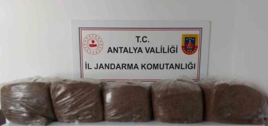 Antalya’nın Alanya ve Demre ilçelerinde jandarmanın operasyonlarında 285 kilo kıyılmış