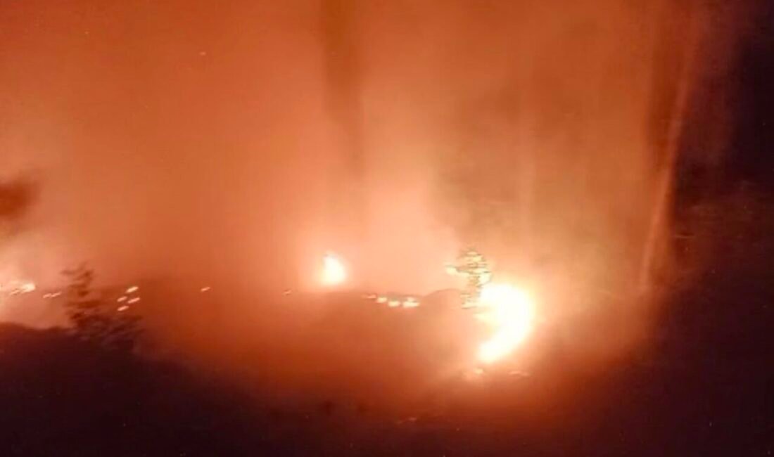 Antalya’nın Alanya ilçesinde ormanlık alanda çıkan yangın, ekiplerin yaklaşık 2
