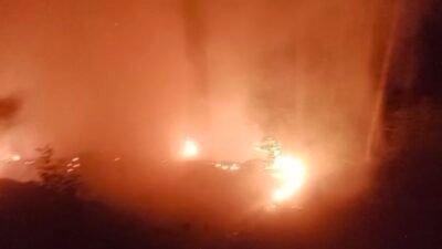 Antalya’nın Alanya ilçesinde ormanlık alanda çıkan yangın, ekiplerin yaklaşık 2