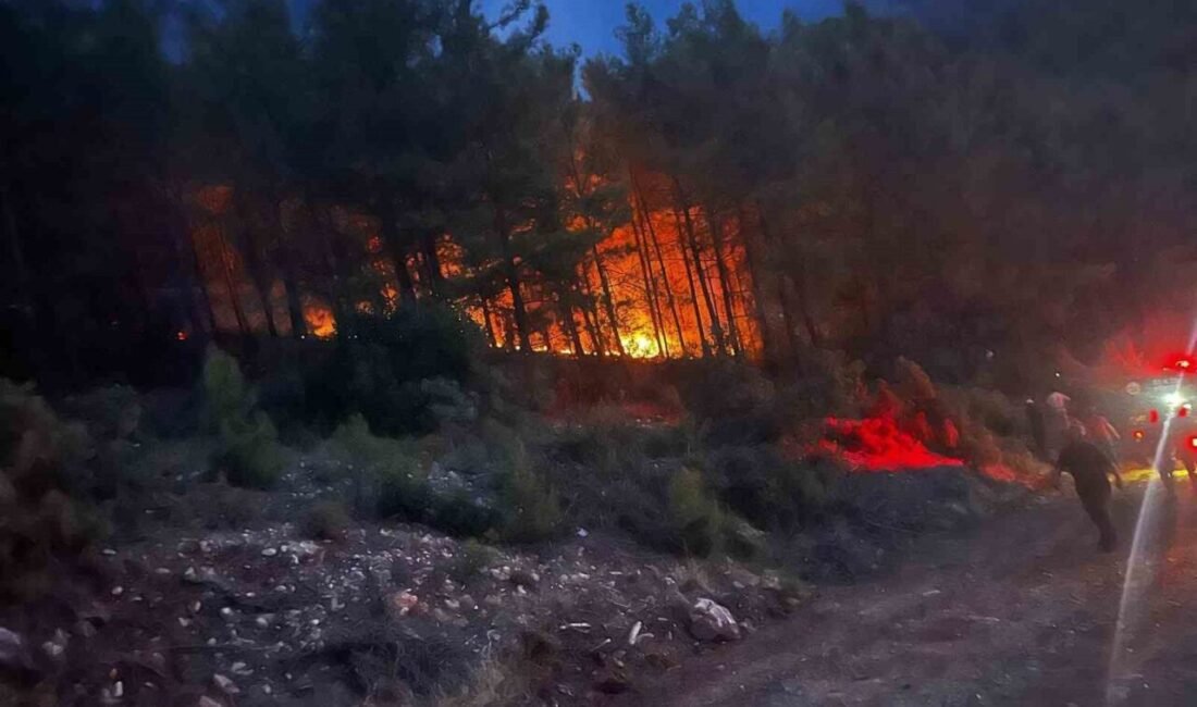 Antalya’nın Alanya ilçesinde ormanlık alanda çıkan yangın, ekiplerin ve mahalle