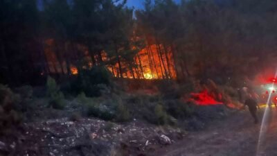 Antalya’nın Alanya ilçesinde ormanlık alanda çıkan yangın, ekiplerin ve mahalle