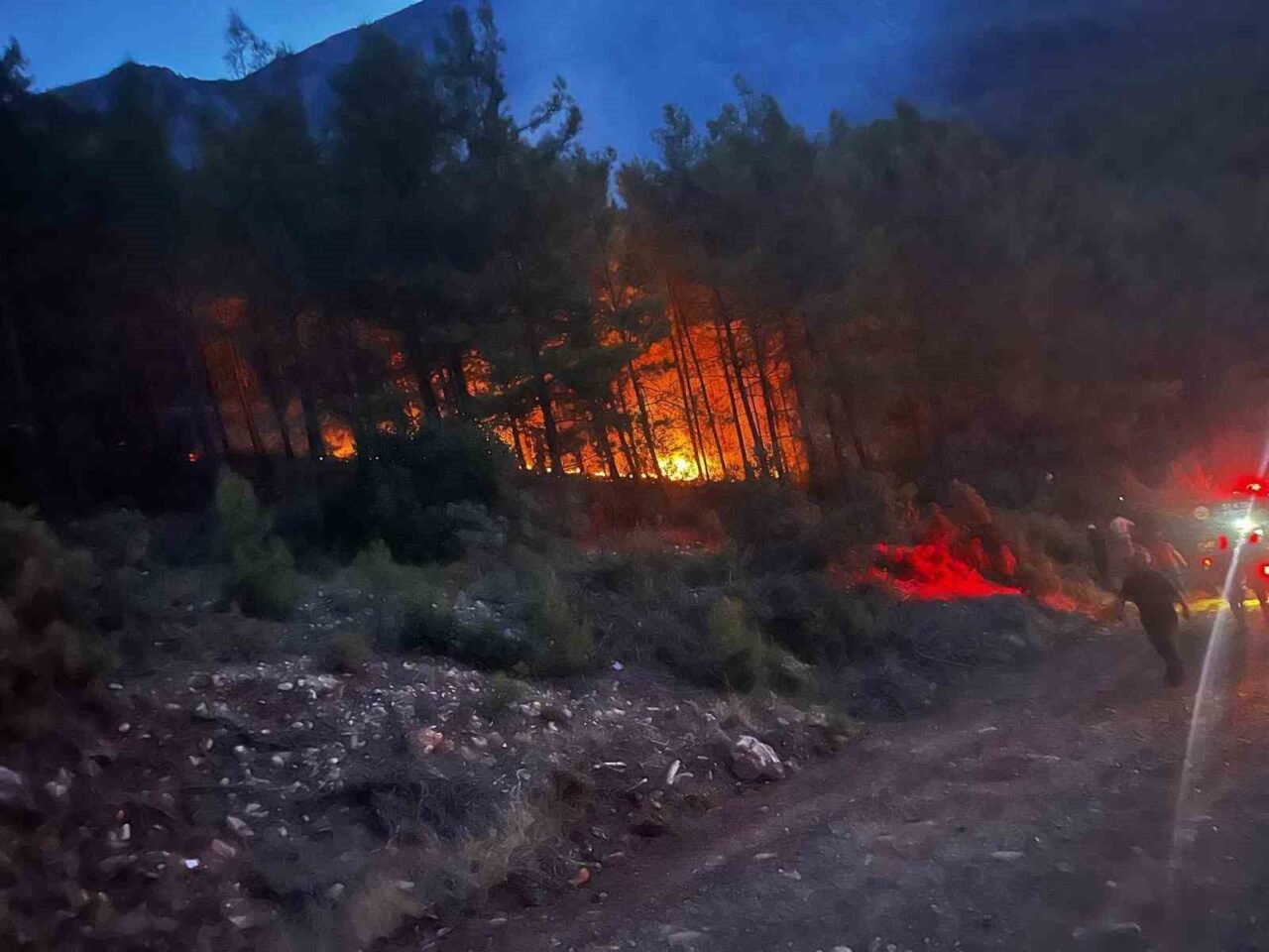 Alanya'da ormanlık alanda çıkan yangın kontrol altına alındı