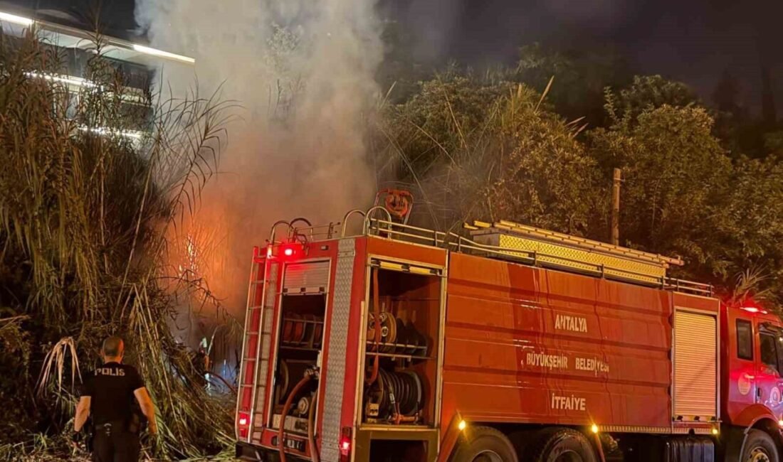 Antalya’nın Alanya ilçesinde sazlık alanda çıkan yangın, ekiplerin müdahalesiyle söndürüldü.