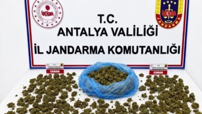 Antalya’nın Alanya ilçesinde jandarma ekiplerince düzenlenen uyuşturucu operasyonunda 745 gram