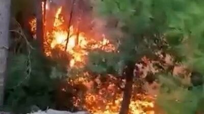Antalya’nın Alanya ilçesinde yıldırım düşmesi sonucu çıkan yangında yaklaşık 1