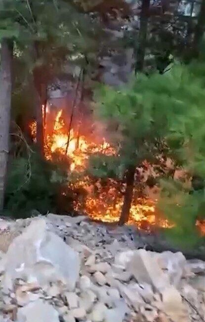 Antalya’nın Alanya ilçesinde yıldırım düşmesi sonucu çıkan yangında yaklaşık 1