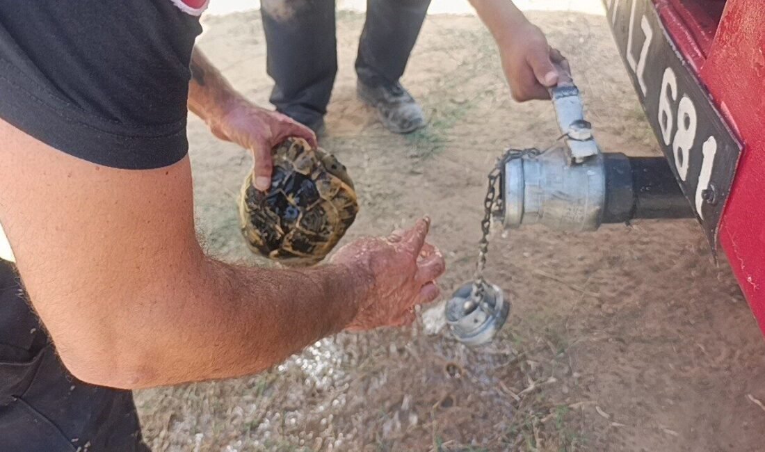 Antalya’nın Manavgat ilçesinde sarp ve dağlık arazide çıkan orman yangınının