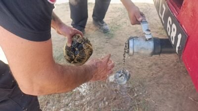 Antalya’nın Manavgat ilçesinde sarp ve dağlık arazide çıkan orman yangınının
