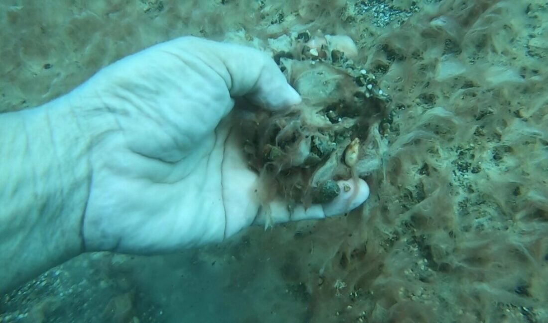 Antalya kıyılarında deniz tabanındaki çakıl ve kayaların kahverengi, peltemsi bir