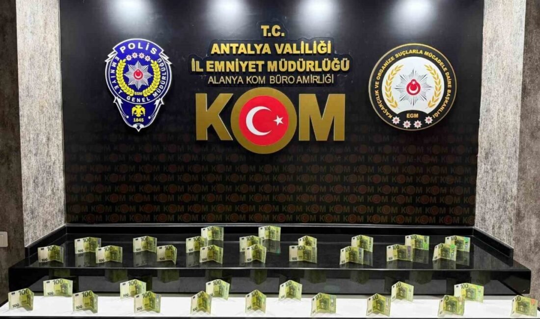 Antalya’da KOM ekiplerinin son 1 haftada yaptığı çalışmalarda 22 adet
