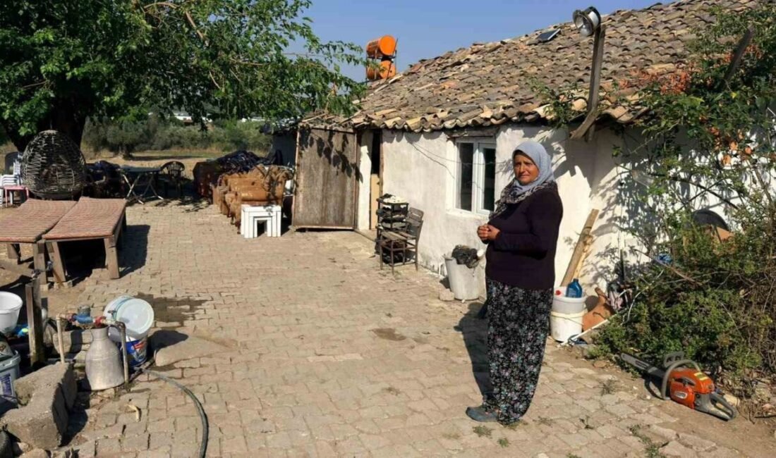 Antalya’nın Serik ilçesinde geçtiğimiz 25 Temmuz tarihinde meydana gelen, seralara