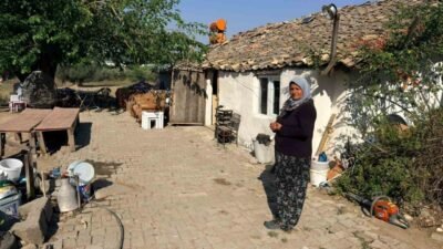 Antalya’nın Serik ilçesinde geçtiğimiz 25 Temmuz tarihinde meydana gelen, seralara