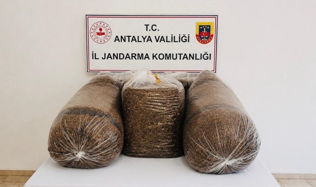 Antalya’da jandarma ekiplerinin Aksu ve Serik ilçelerinde kaçak tütün ve