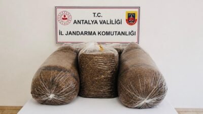 Antalya’da jandarma ekiplerinin Aksu ve Serik ilçelerinde kaçak tütün ve