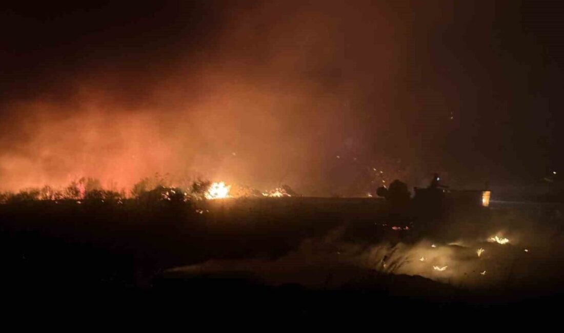 Antalya’nın Serik ilçesinde otluk ve makilik alanda çıkan yangın, rüzgarın