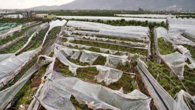 Antalya Büyükşehir Belediyesi, afetlerden zarar gören üreticilerin yaralarını sarmak ve