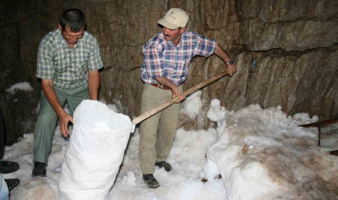 Antalya’nın Akseki ilçesinde yaklaşık bin 900 metre rakımlı Çimi Yaylası’na