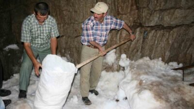 Antalya’nın Akseki ilçesinde yaklaşık bin 900 metre rakımlı Çimi Yaylası’na
