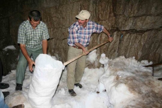 Antalya’nın Akseki ilçesinde yaklaşık bin 900 metre rakımlı Çimi Yaylası’na