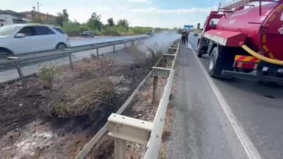 Antalya’nın Manavgat ilçesinde seyir halindeki araçtan atılan izmarit nedeniyle ortaj