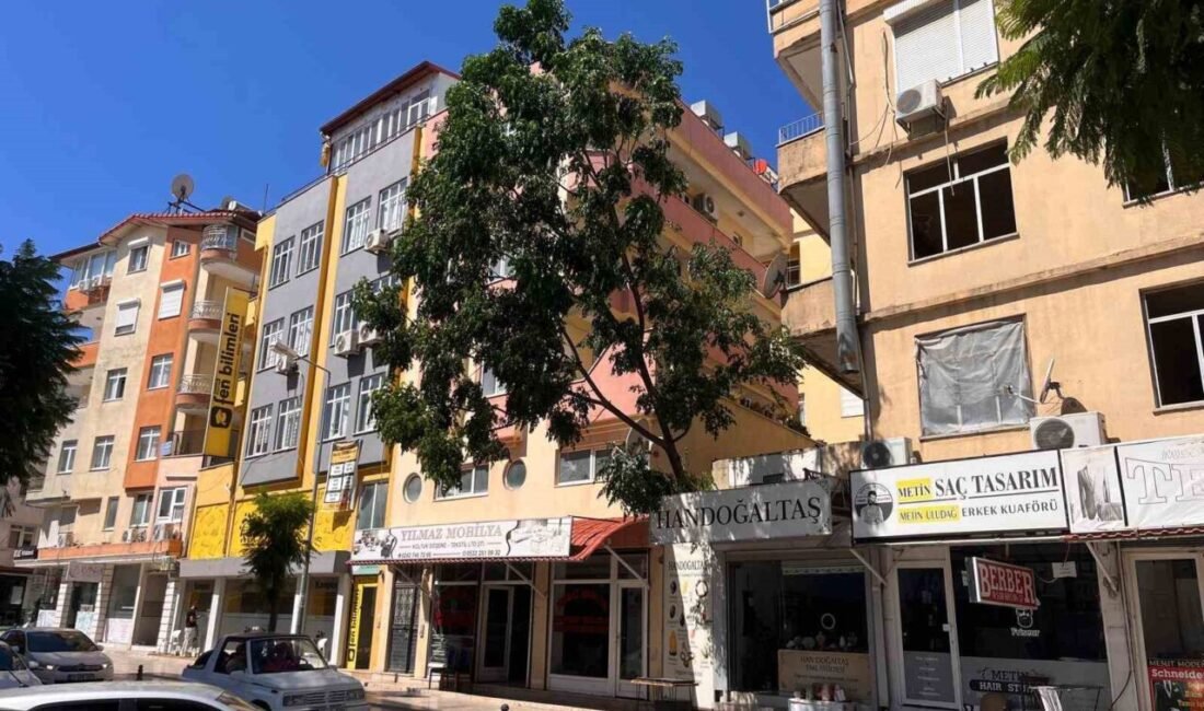 Antalya’nın Manavgat ilçesinde etkili olan fırtına nedeniyle bir ağacın devrilme