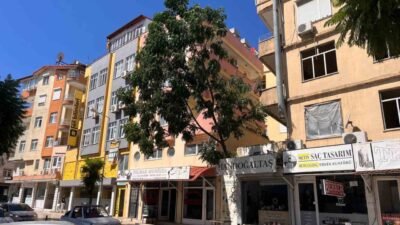 Antalya’nın Manavgat ilçesinde etkili olan fırtına nedeniyle bir ağacın devrilme