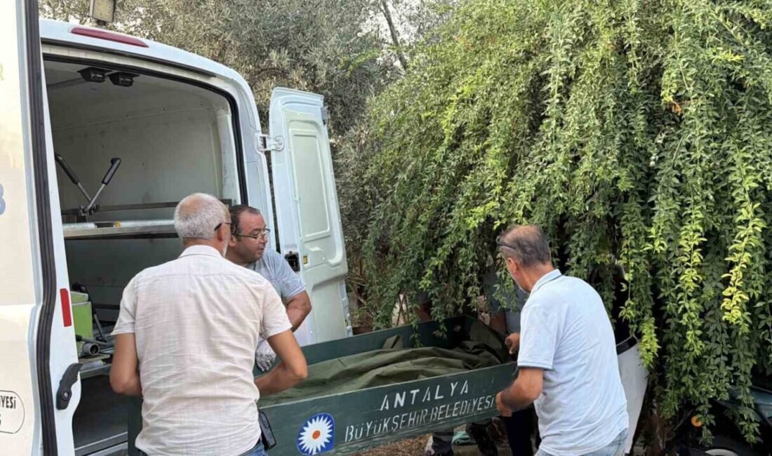 Antalya’nın Gazipaşa ilçesinde bir kişi evinin merdiveninde ölü olarak bulundu.