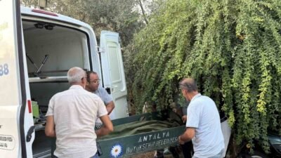 Antalya’nın Gazipaşa ilçesinde bir kişi evinin merdiveninde ölü olarak bulundu.