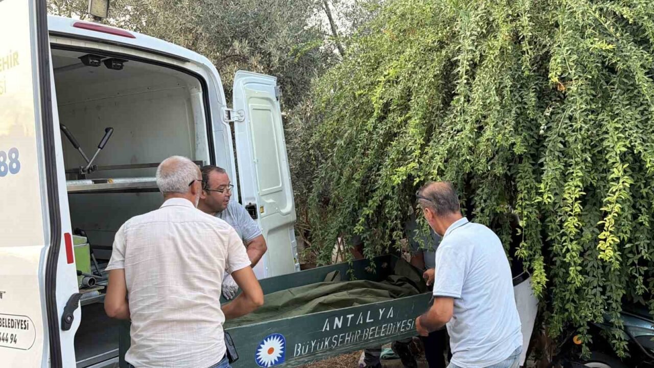 Antalya’nın Gazipaşa ilçesinde bir kişi evinin merdiveninde ölü olarak bulundu.