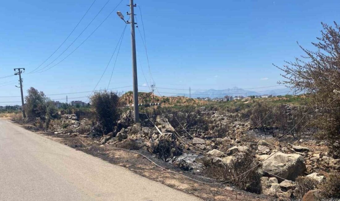 Kepez Şelale Mahallesi’ne izinsiz moloz döken, damperin elektrik tellerine temas