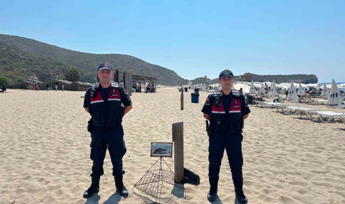 Antalya İl Jandarma Komutanlığı ekipleri tarafından nesli tehlike altındaki deniz