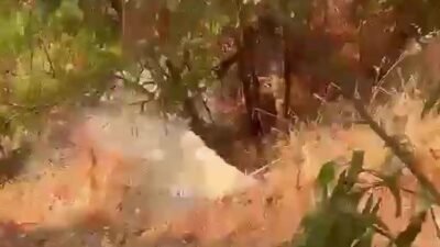 Antalya’nın Kaş ilçesinde sosyal medyaya yansıyan görüntülerde, atık su arıtma